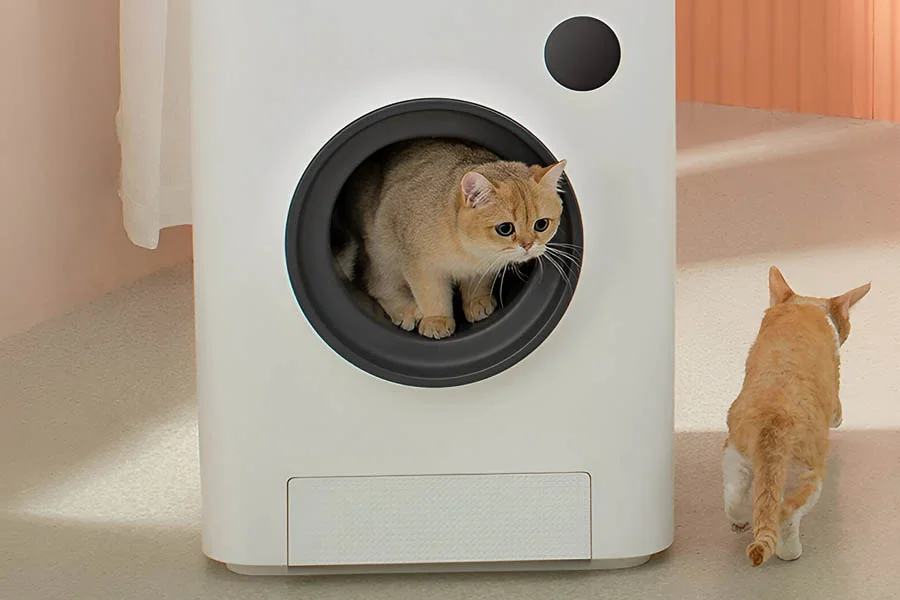 pet safe self cleaning litter box